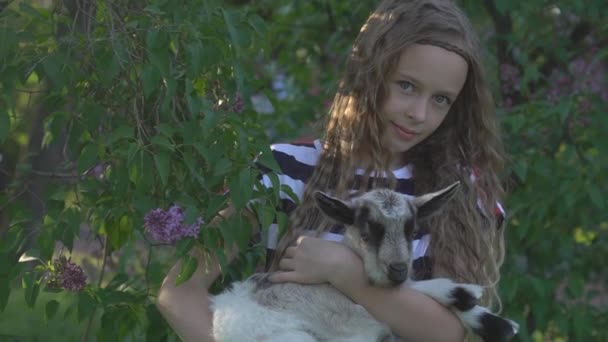 女孩与一只小小山羊 — 图库视频影像