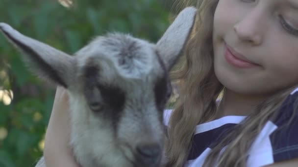 Feliz Jovem Menina Acariciando Feliz Bonito Criança Cabra — Vídeo de Stock