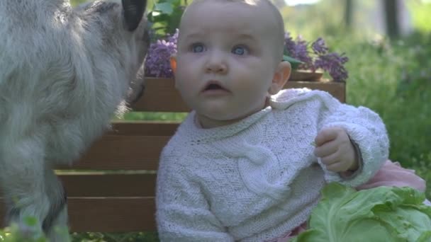 甜蜜的小女孩与山羊 — 图库视频影像