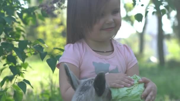 小さな子供ヤギと遊んで笑顔愛情の女の子 — ストック動画