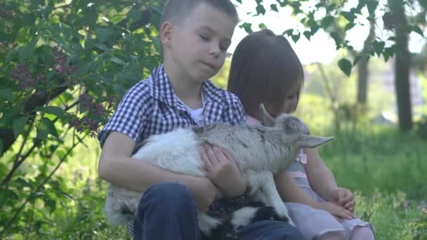 Kinderen Met Een Geit Kristal Kind — Stockvideo