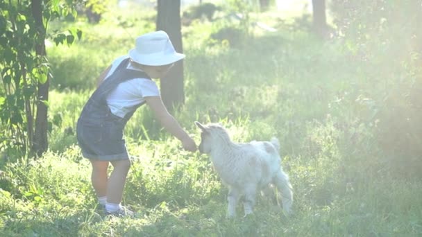 Babyjongen Speelt Met Een Geit — Stockvideo