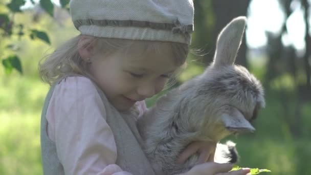 Fiatal Lány Etetés Sheeps Kecske Tól Hand — Stock videók