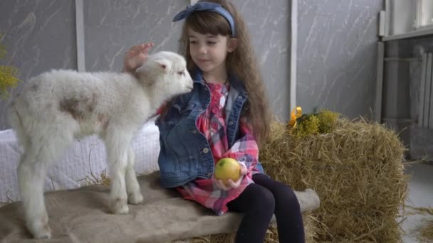 小さな若いヤギを持つ4Kの女の子 — ストック動画