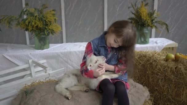 Lächelndes Liebevolles Mädchen Das Mit Kleinen Ziegen Spielt — Stockvideo