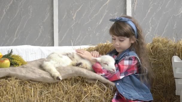 Doce Menina Com Cabras — Vídeo de Stock