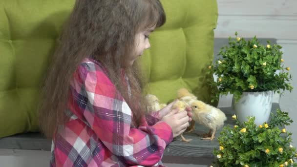 Kız Küçük Bebek Tavukları Ile Oynuyor — Stok video