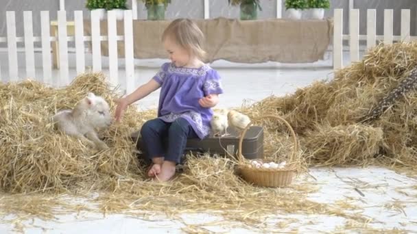 Das Mädchen Füttert Die Ziege — Stockvideo