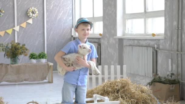 Garçon Joue Avec Une Chèvre — Video