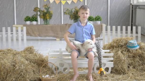 Jongen Speelt Met Een Geit — Stockvideo