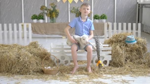 Junge Spielt Mit Einer Ziege — Stockvideo
