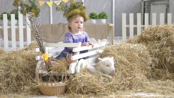甜蜜的小女孩与山羊 — 图库视频影像