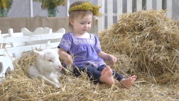 Schattig Meisje Met Geiten — Stockvideo