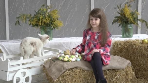 女孩与一只小小山羊 — 图库视频影像