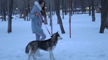 Kadın bir köpek Ile kış ormanda yürümek