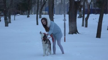 Kadın bir köpek Ile kış ormanda yürümek