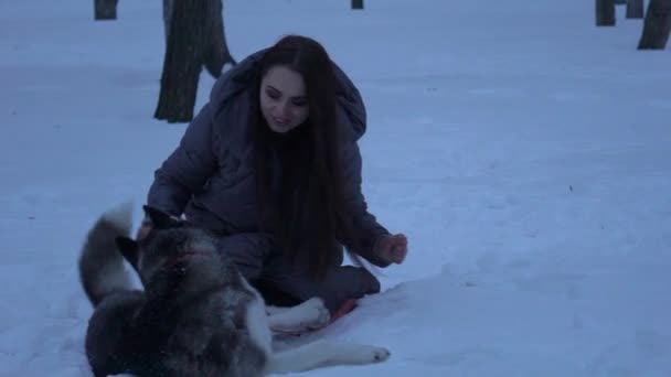 Young Active Girl Playing Her Dog Winter Park — Stock Video