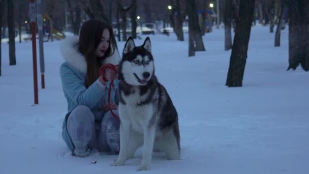 Mujer Paseo Bosque Invierno Con Perro — Vídeos de Stock