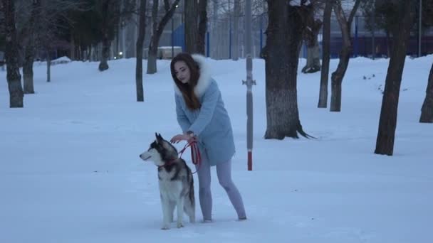 Hermosa Chica Mujer Jugando Con Perro Paseando Por Bosque Invierno — Vídeo de stock