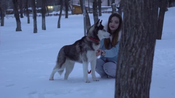 Streichelhund Mädchen Spielt Winter Mit Hund Schnee Park — Stockvideo