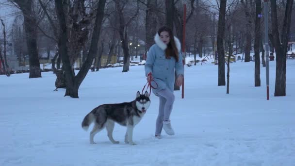 Dziewczyna Biegnie Dla Psa Snowy Road Parku Zimie Dziewczyna Gra — Wideo stockowe