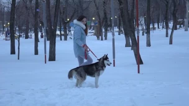 Chica Juega Con Perro Nieve Cerca Estanque Congelado Invierno — Vídeo de stock