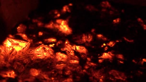 Вугілля Деревне Світіння — стокове відео