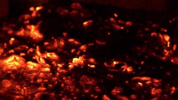 Burning Embers Close Fire — Stock Video