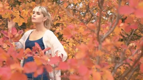 Retrato Cámara Lenta Una Joven Hermosa Mujer Disfrutando Del Otoño — Vídeos de Stock