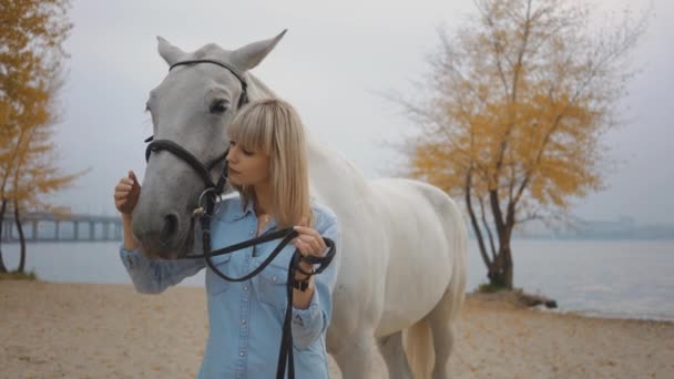 Una Mujer Acaricia Nariz Del Caballo — Vídeos de Stock