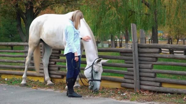 Slow Motion Young Blonde Woman Taking Care Her Horse — Stock Video