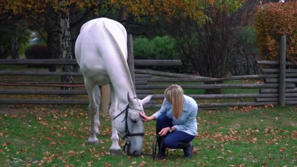 Slow Motion Young Blonde Woman Taking Care Her Horse — Stock Video