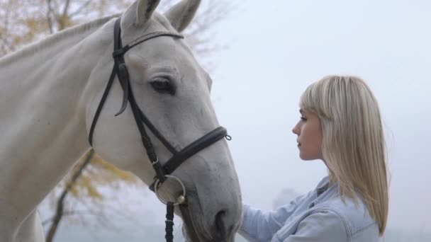 Slow Motion Girl Fica Perto Cavalo Branco Olha Para Seus — Vídeo de Stock