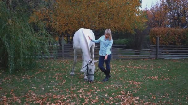 Giovane Bella Donna Con Cavallo Bianco Vicino Campo — Video Stock