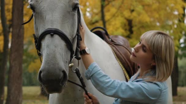 Lento Movimento Jovem Feliz Menina Acariciando Ela Muito Branco Cavalo — Vídeo de Stock
