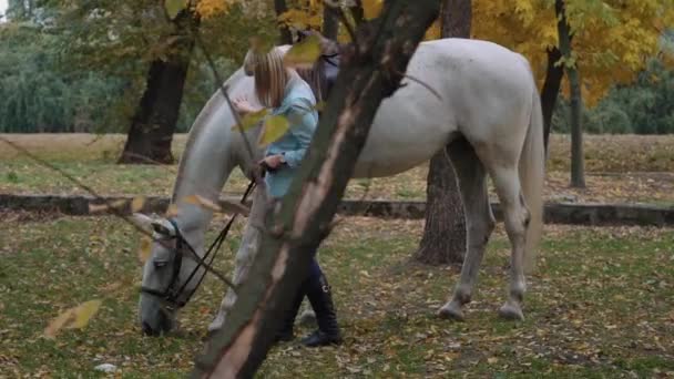 Дівчина Домашні Тварини Кінь Реальному Часі — стокове відео