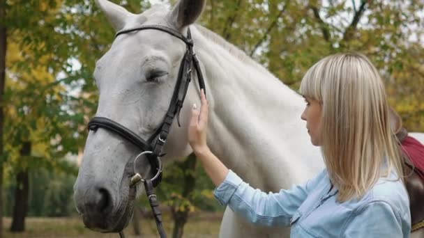 Real Time Jong Gelukkig Meisje Strelen Haar Mooie Witte Paard — Stockvideo