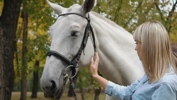 Powolny Ruch Młody Blondynka Caressing Jej Ładne Białe Koń — Wideo stockowe