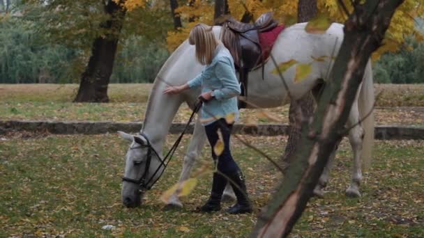 Movimento Lento Jovem Mulher Cuida Seu Belo Cavalo Branco — Vídeo de Stock