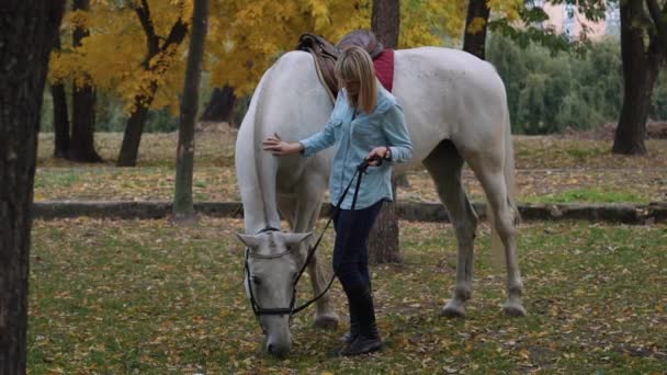 Slow Motion Young Happy Girl Caressing Her Pretty White Horse — Stock Video