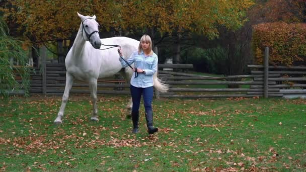 Slow Motion Beautiful Girl Riding Horse Countryside — Stock Video