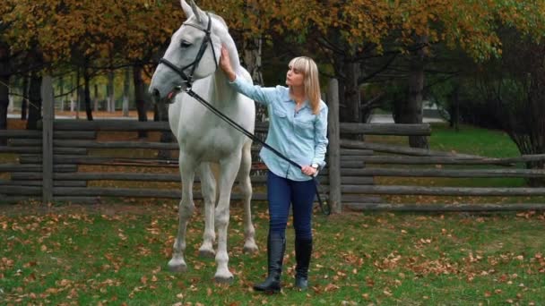 Slow Motion Joven Feliz Chica Acariciando Bonito Caballo Blanco — Vídeos de Stock