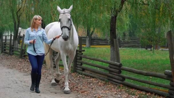 Повільний Рух Красива Дівчина Верхи Коні Сільській Місцевості — стокове відео