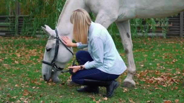 Slow Motion Close Young Cheerful Girl Hanging Out Horse Grazing — Stock Video