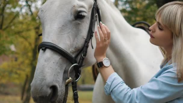 Ragazza Tempo Reale Accarezzando Cavallo — Video Stock