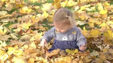 Yavaş Hareket Küçük Çocuk Sonbahar Parkı'nda Oynuyor.Sarı Yapraklarla Oynayan Bebek