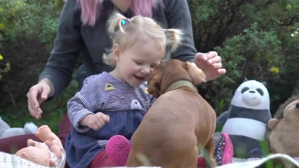 女人和女婴抱狗慢动作 — 图库视频影像