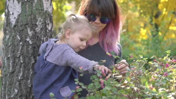慢动作妈妈和婴儿在秋季公园 — 图库视频影像