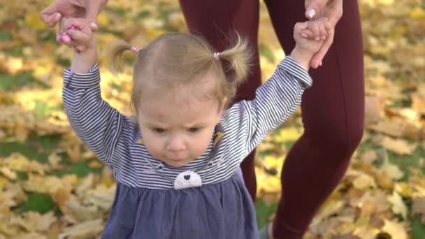 Mutter Verbringt Zeit Mit Ihrer Tochter Spaziergänge Herbstpark — Stockvideo