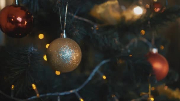 Доллі Знімок Різдвяної Ялинки — стокове відео